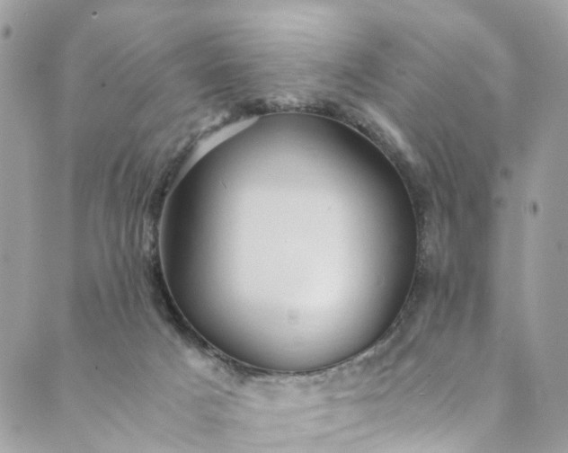 X0000089430025200706291325