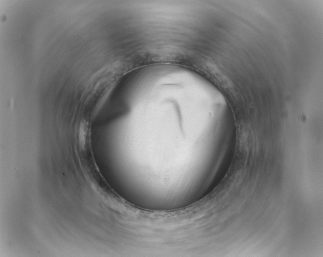 X0000089430026200706291325