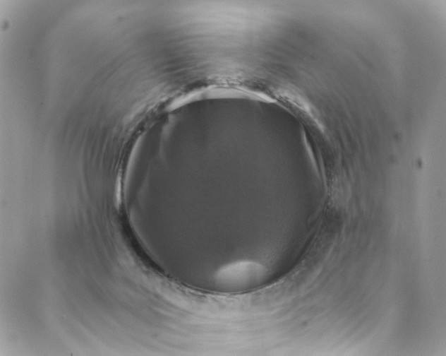 X0000089430027200706291325