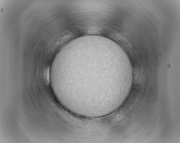 X0000089430028200706291325