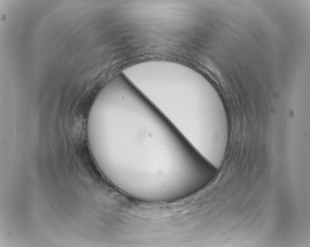 X0000089430029200706291325