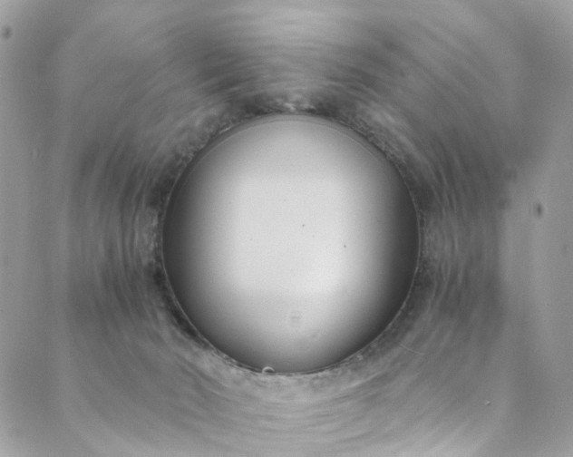 X0000089430030200706291325