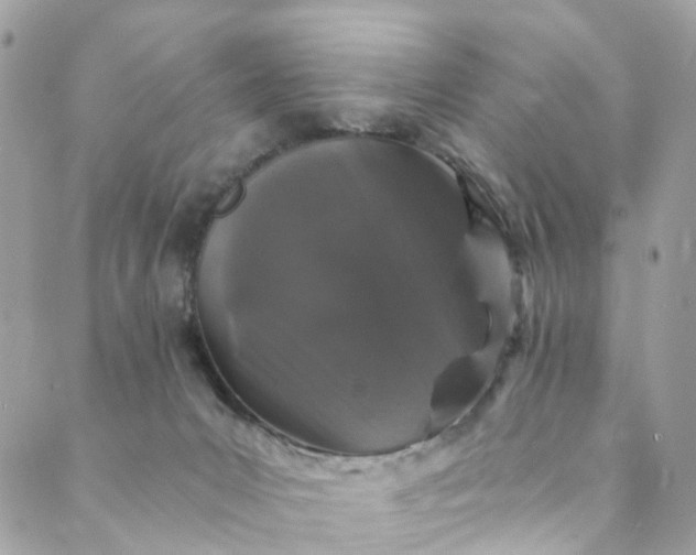 X0000089430031200706291325