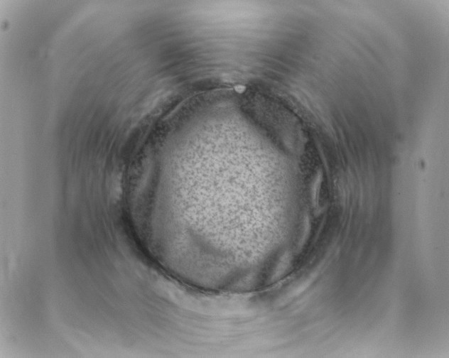 X0000089430032200706291325