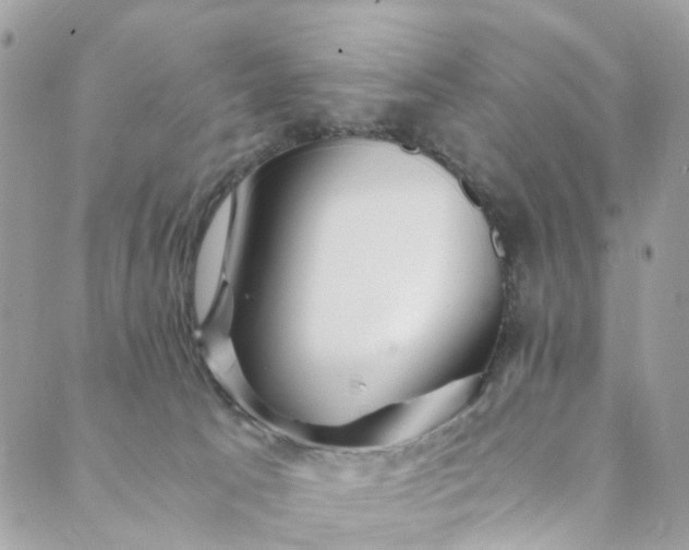 X0000089430033200706291325