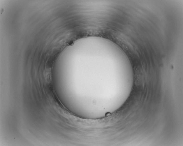 X0000089430034200706291325