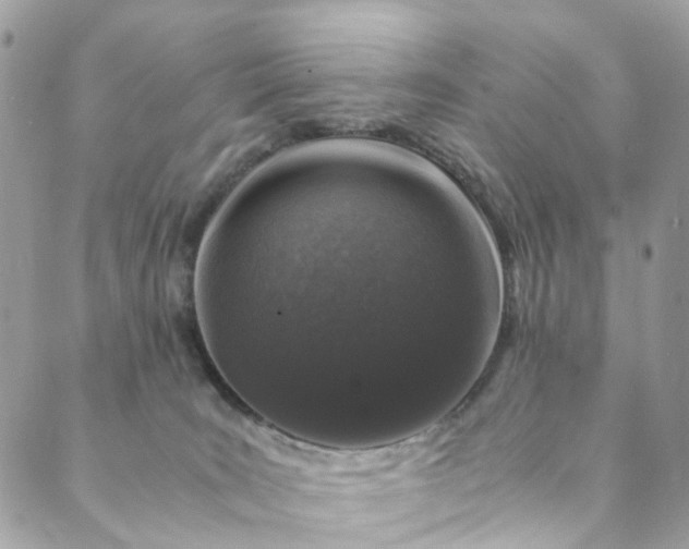 X0000089430035200706291325