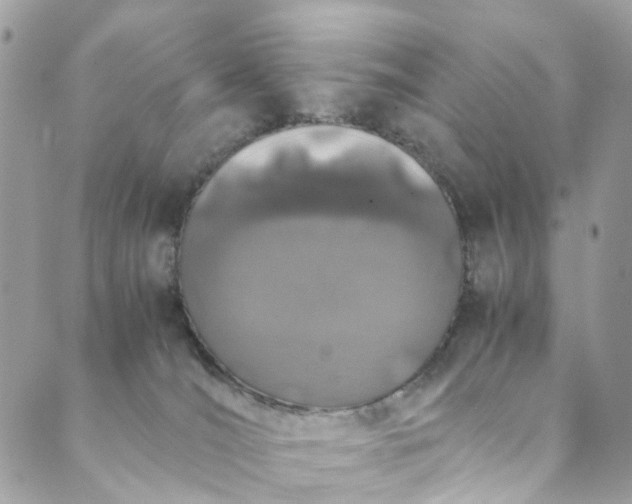 X0000089430036200706291325