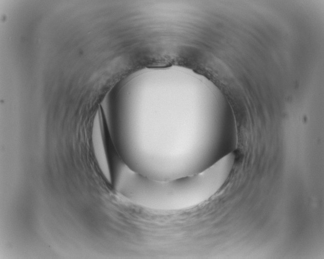 X0000089430037200706291325