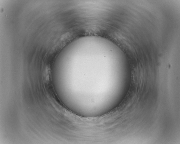 X0000089430038200706291325