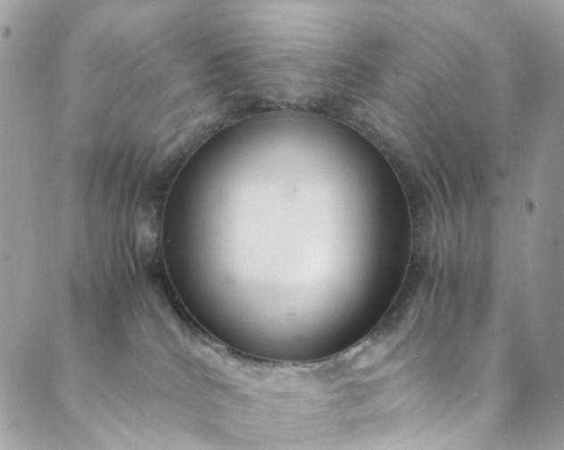 X0000089430040200706291325