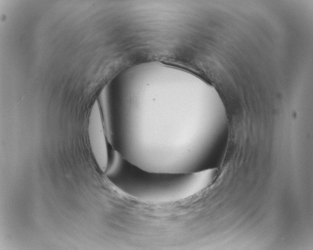 X0000089430041200706291325