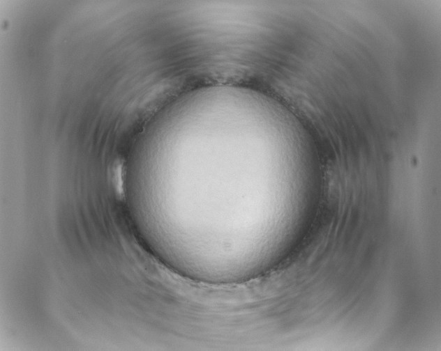 X0000089430042200706291325