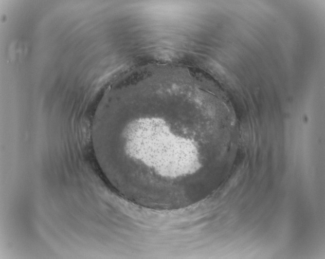 X0000089430043200706291325