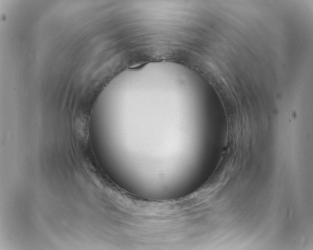 X0000089430044200706291325