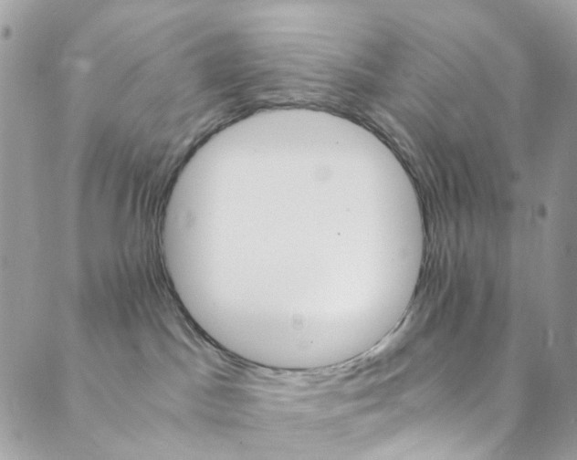 X0000089430045200706291325