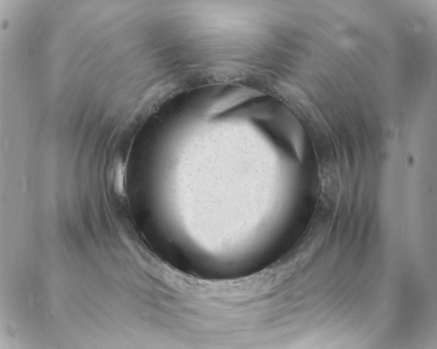 X0000089430046200706291325