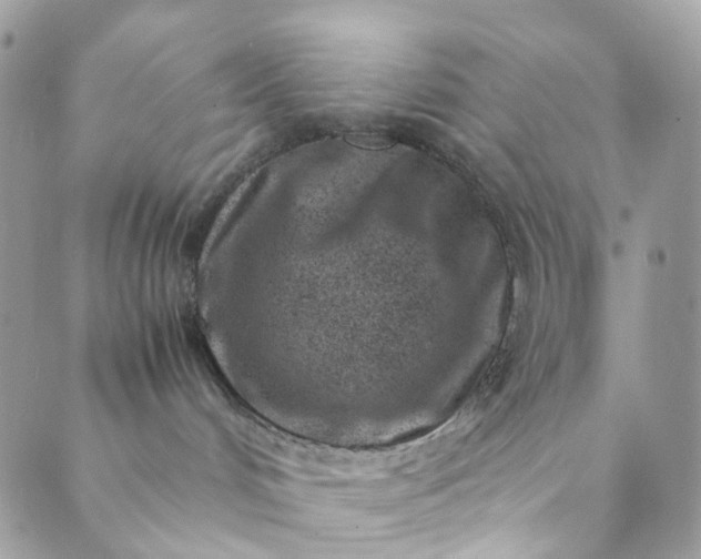 X0000089430048200706291325