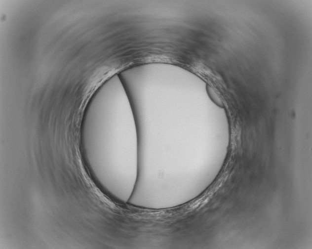 X0000089430049200706291324