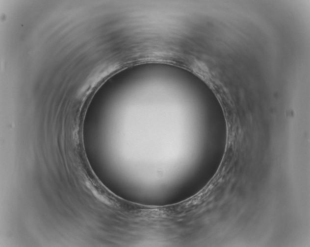 X0000089430050200706291324