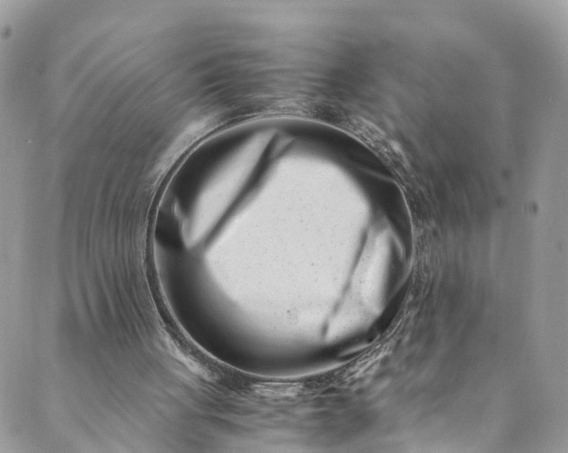 X0000089430051200706291324