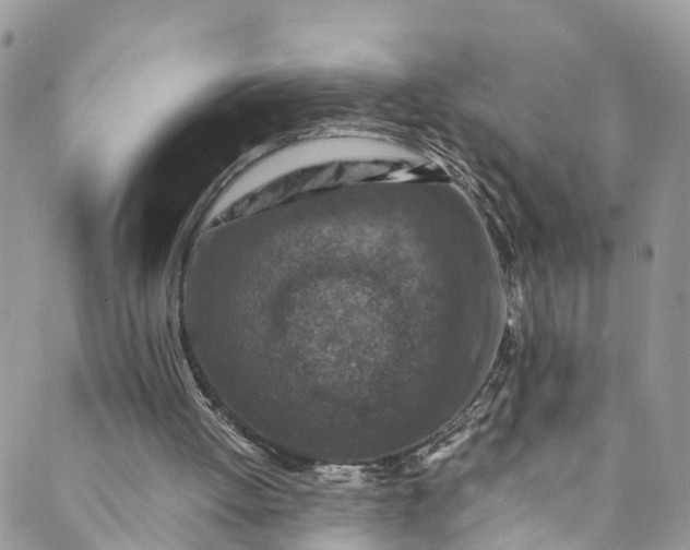 X0000089430052200706291324