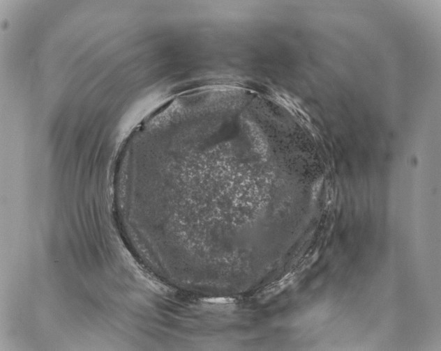 X0000089430053200706291324