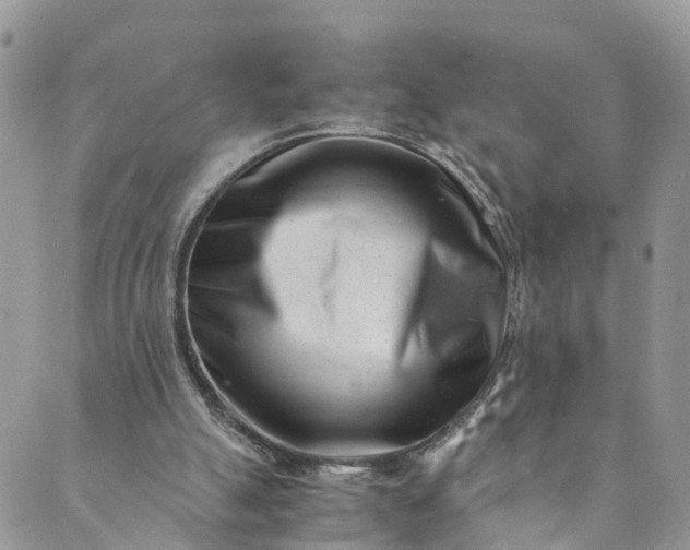 X0000089430055200706291324