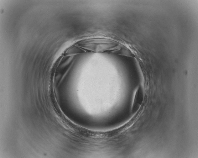 X0000089430056200706291324