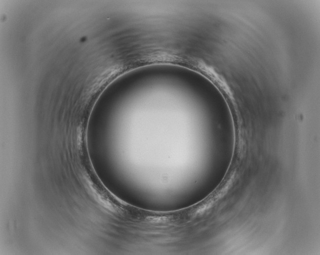 X0000089430057200706291324