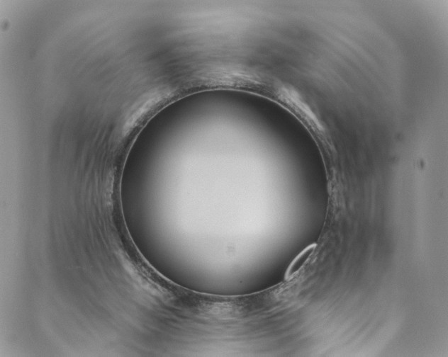 X0000089430058200706291324