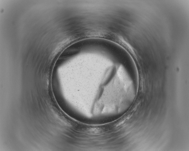 X0000089430059200706291324