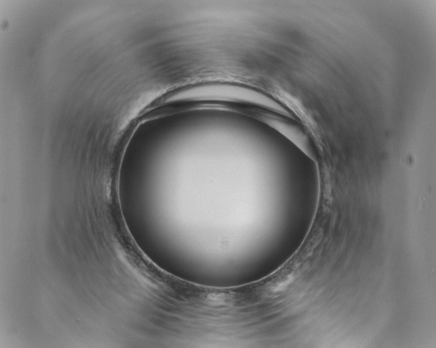 X0000089430060200706291324