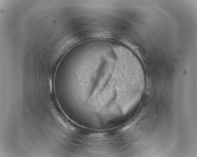 X0000089430061200706291324