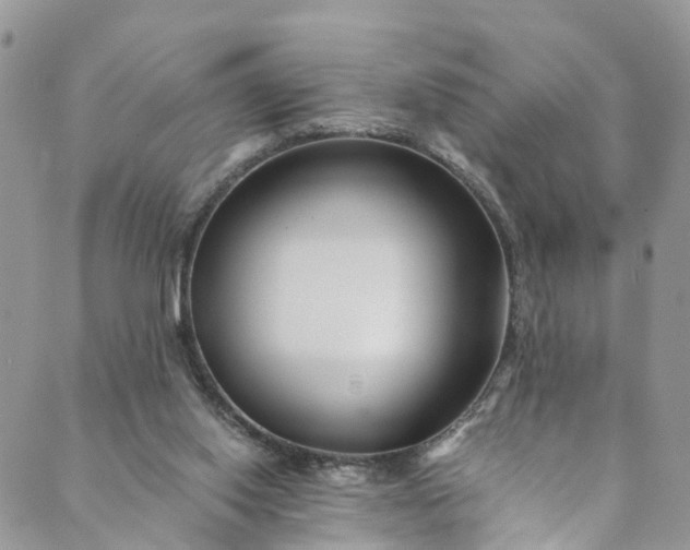 X0000089430062200706291324