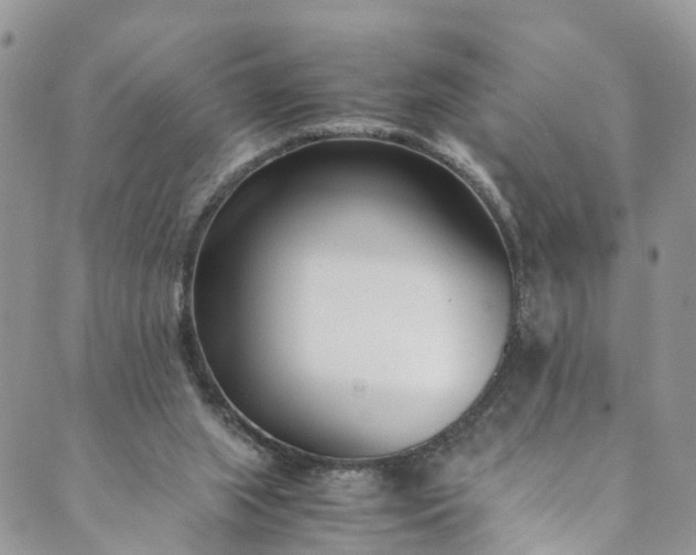 X0000089430063200706291324