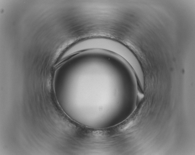 X0000089430064200706291324