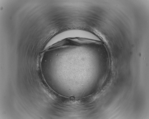 X0000089430065200706291324