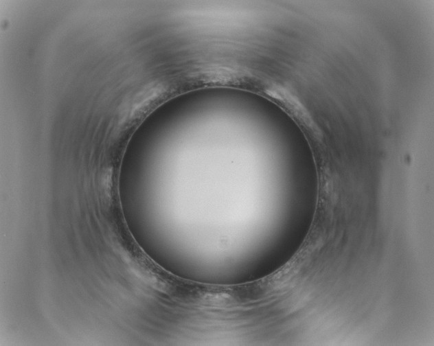 X0000089430066200706291324