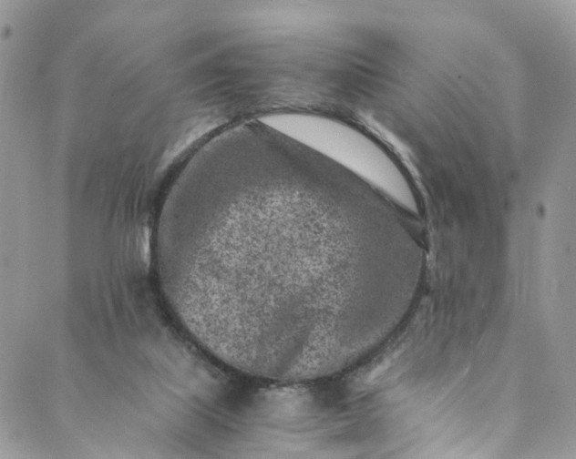 X0000089430067200706291324