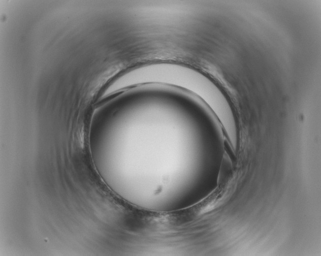 X0000089430068200706291324