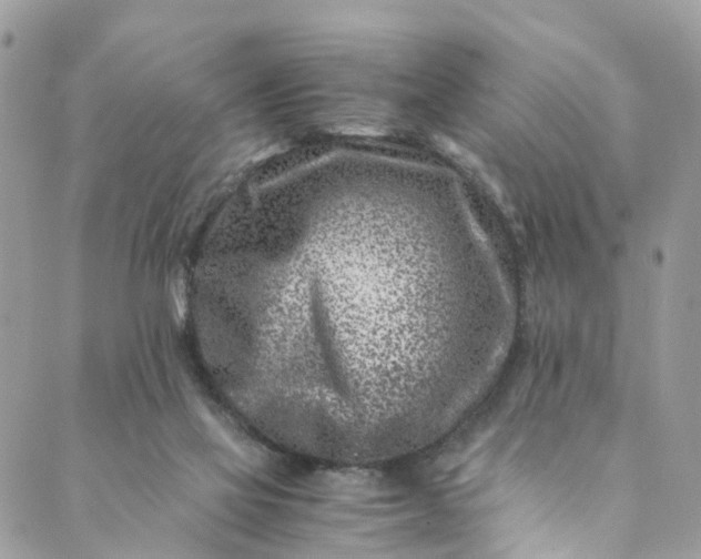 X0000089430069200706291324