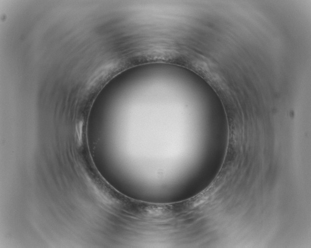 X0000089430070200706291324