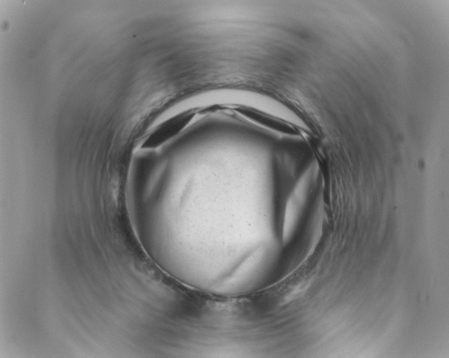 X0000089430072200706291324