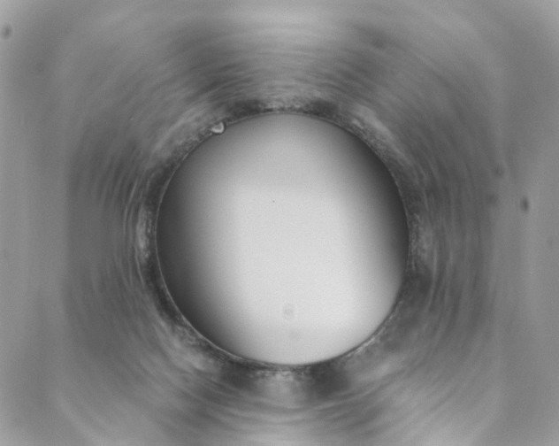 X0000089430074200706291324