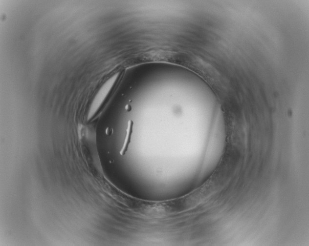 X0000089430075200706291325