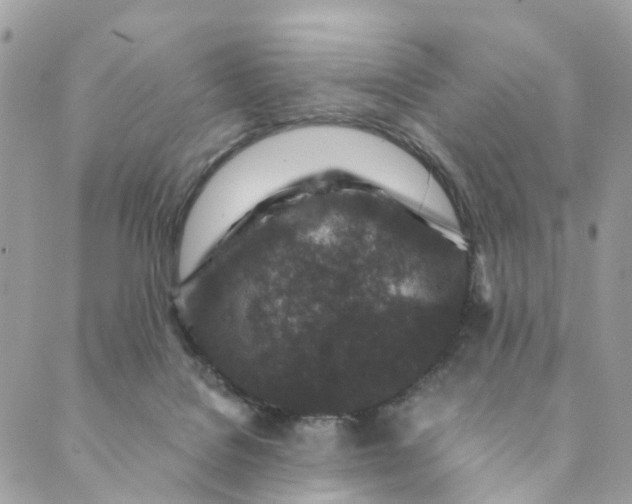 X0000089430076200706291325