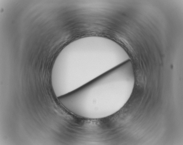 X0000089430077200706291325