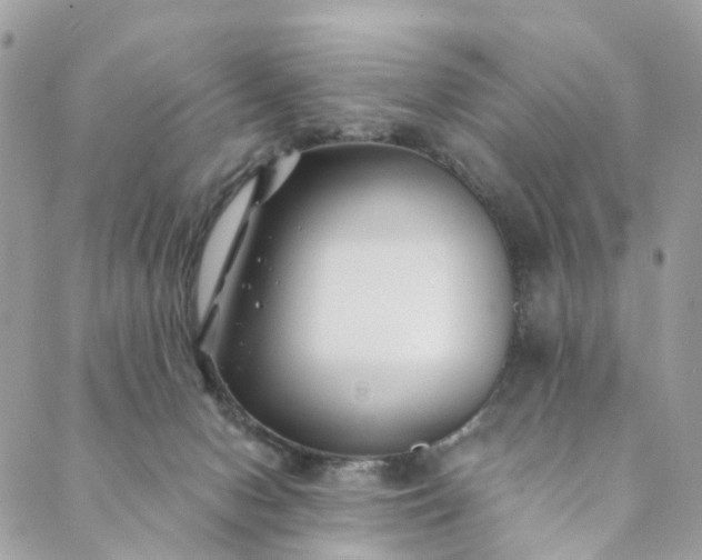 X0000089430078200706291325