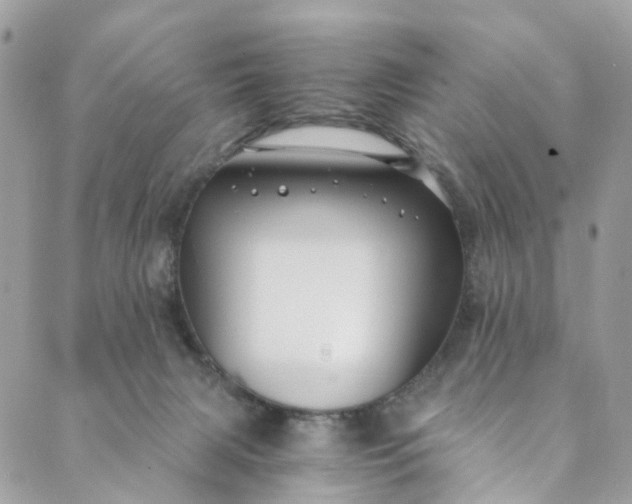 X0000089430079200706291325